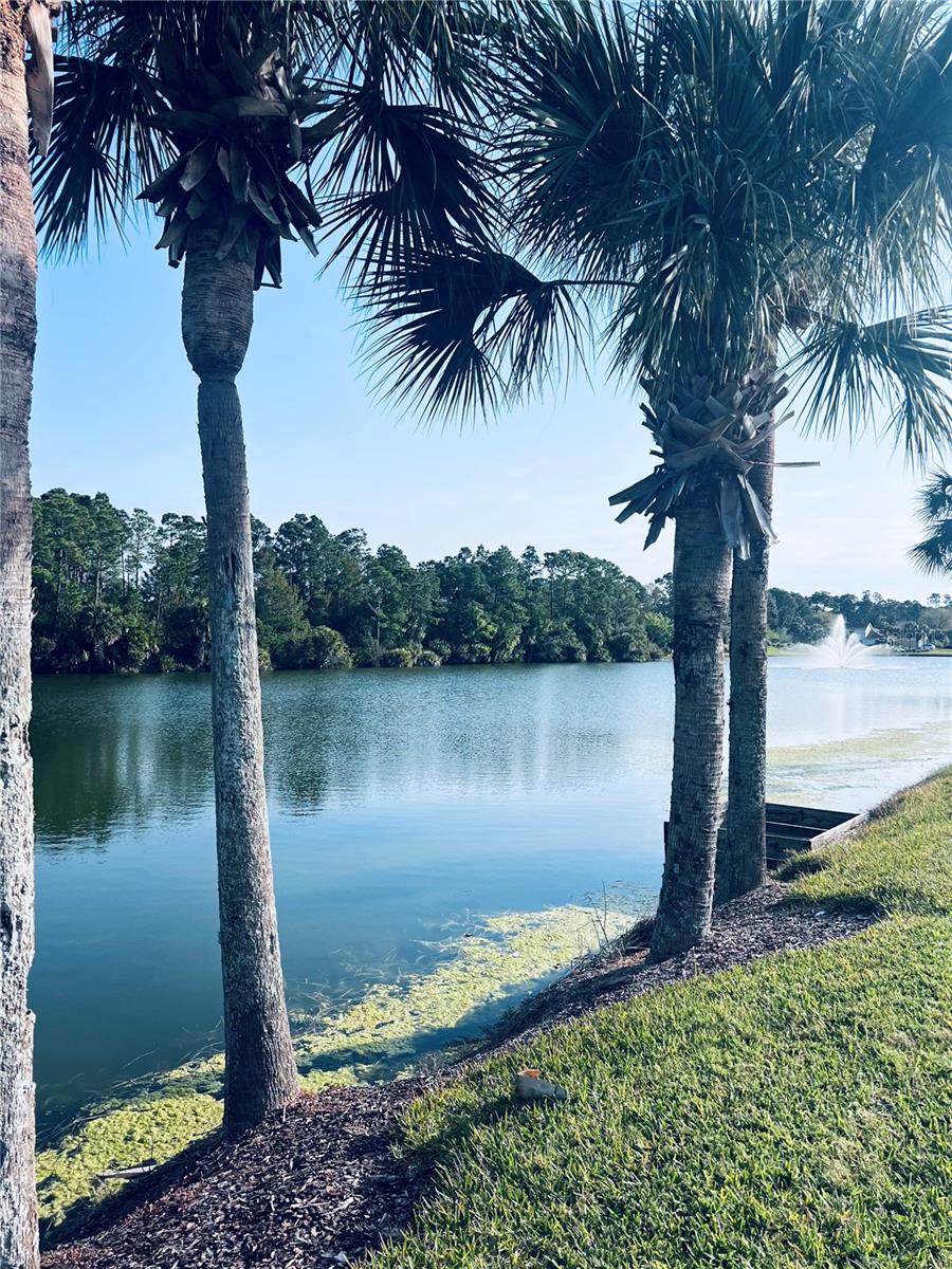 91 EMERALD LAKE DR, PALM COAST, FL — photo 3