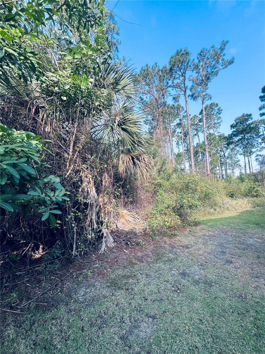 91 EMERALD LAKE DR, PALM COAST, FL — photo 4