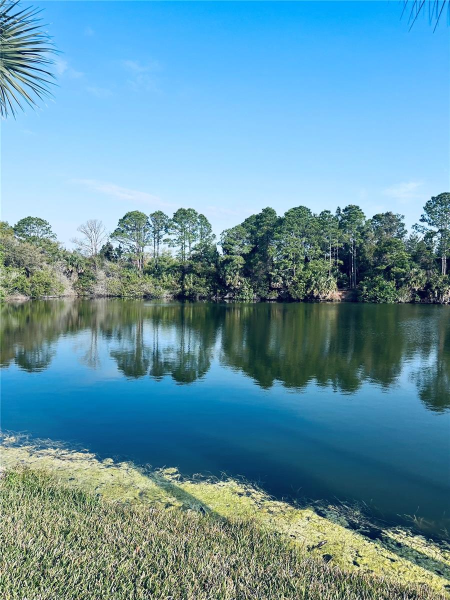 91 EMERALD LAKE DR, PALM COAST, FL — photo 13