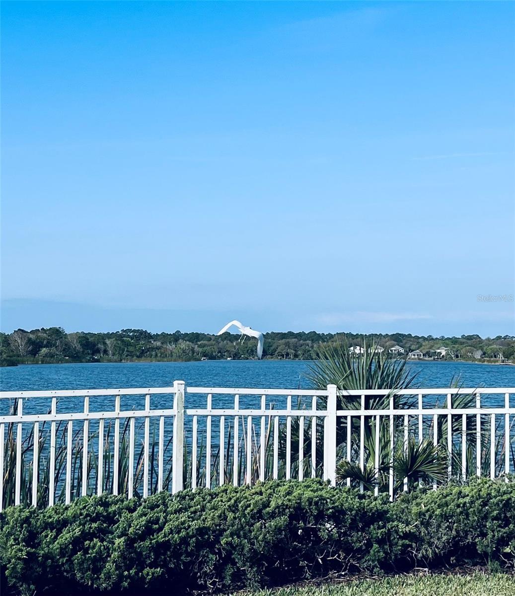 91 EMERALD LAKE DR, PALM COAST, FL — photo 17