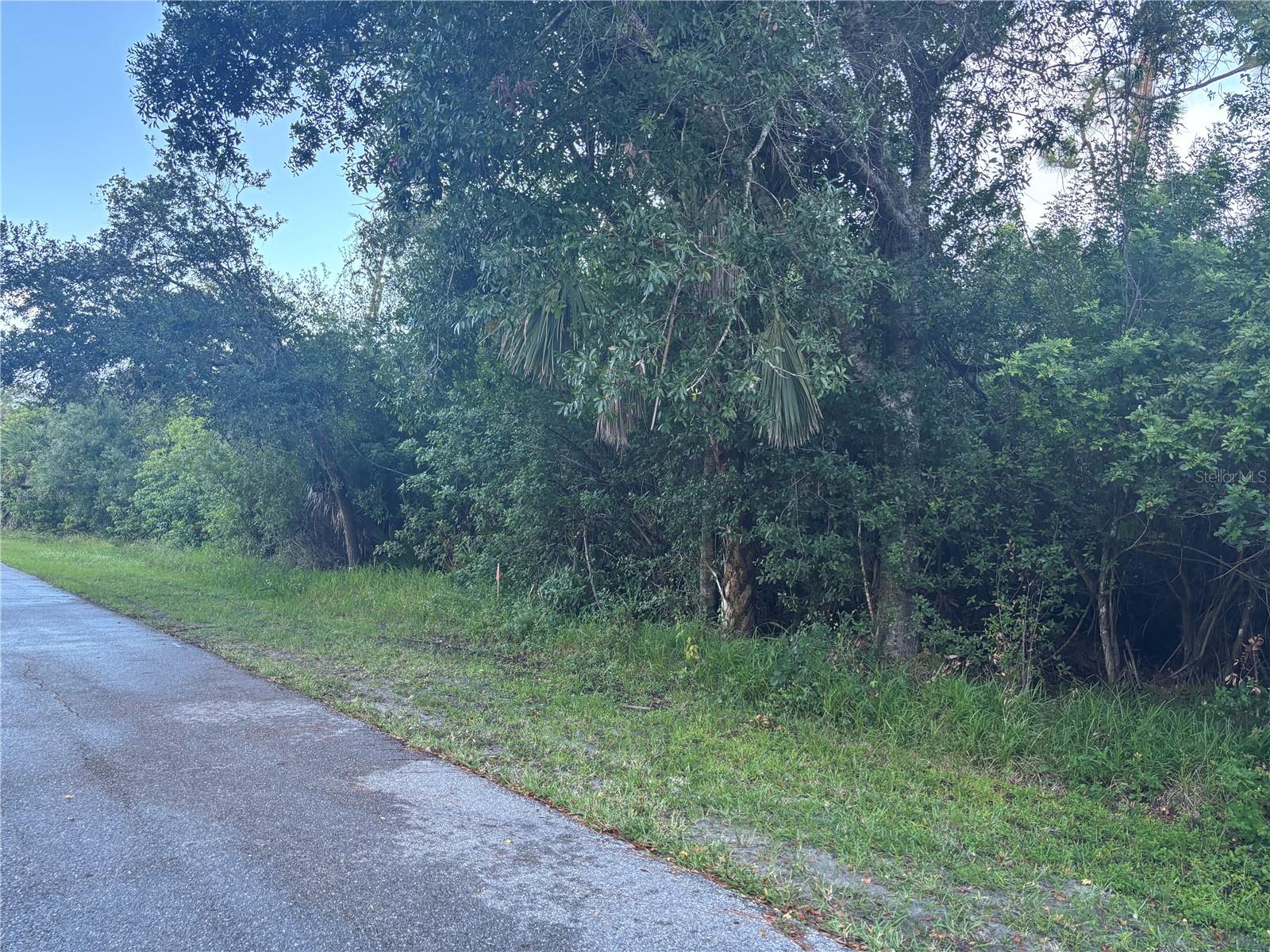 919 PHYLLIS TER, PORT CHARLOTTE, FL