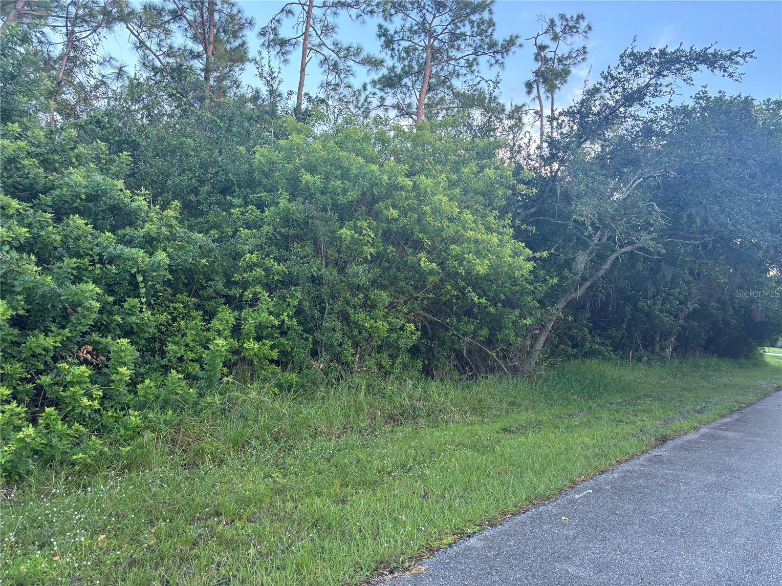 919 PHYLLIS TER, PORT CHARLOTTE, FL — photo 2