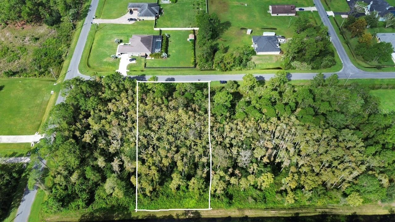 BASSETT AVE, ORLANDO, FL — photo 4