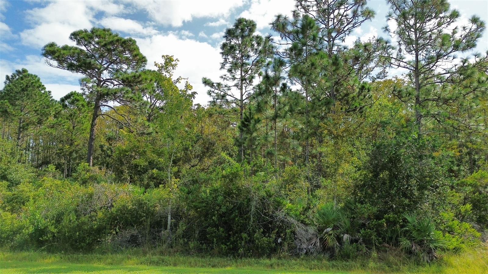 BASSETT AVE, ORLANDO, FL — photo 7