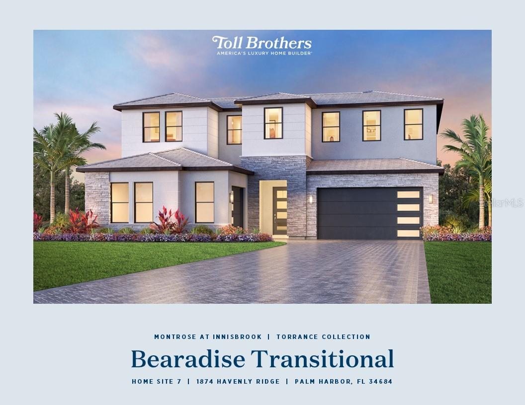 1874 HAVENLY RDG, PALM HARBOR, FL