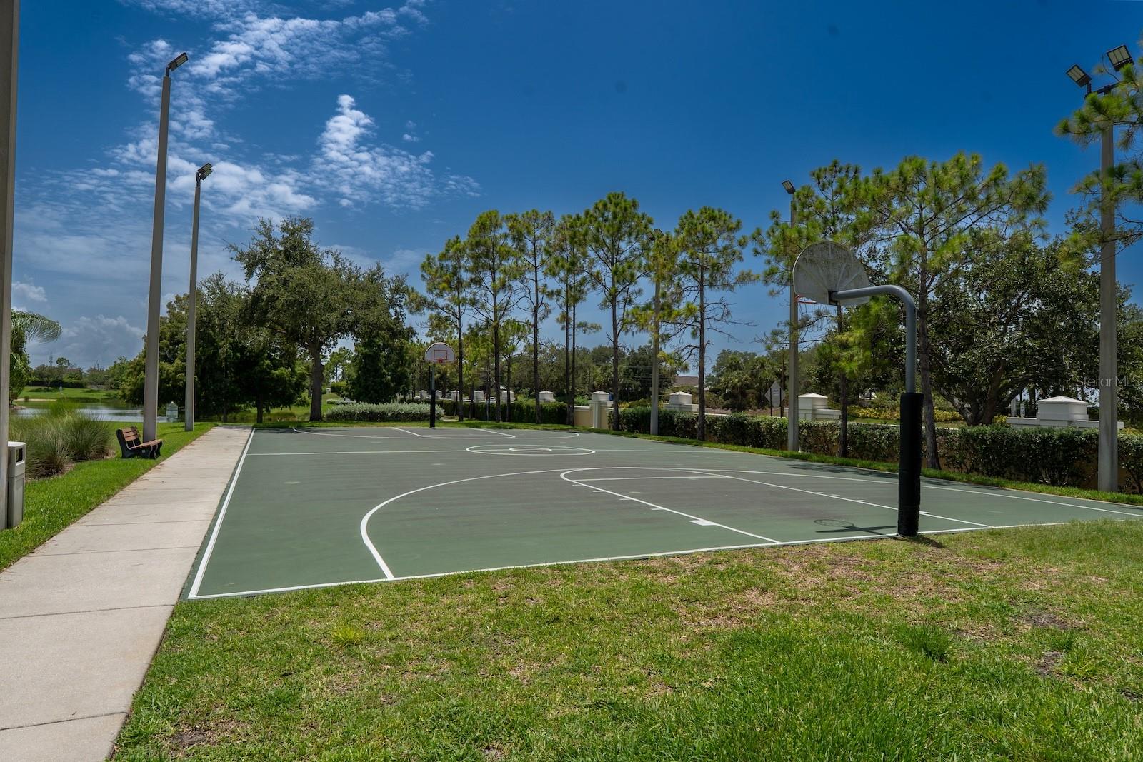 360 HOPE BAY LOOP, APOLLO BEACH, FL — photo 51