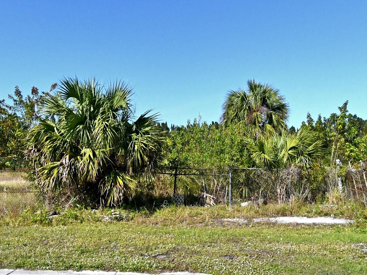 3214 AVENUE D, FORT PIERCE, FL — photo 4