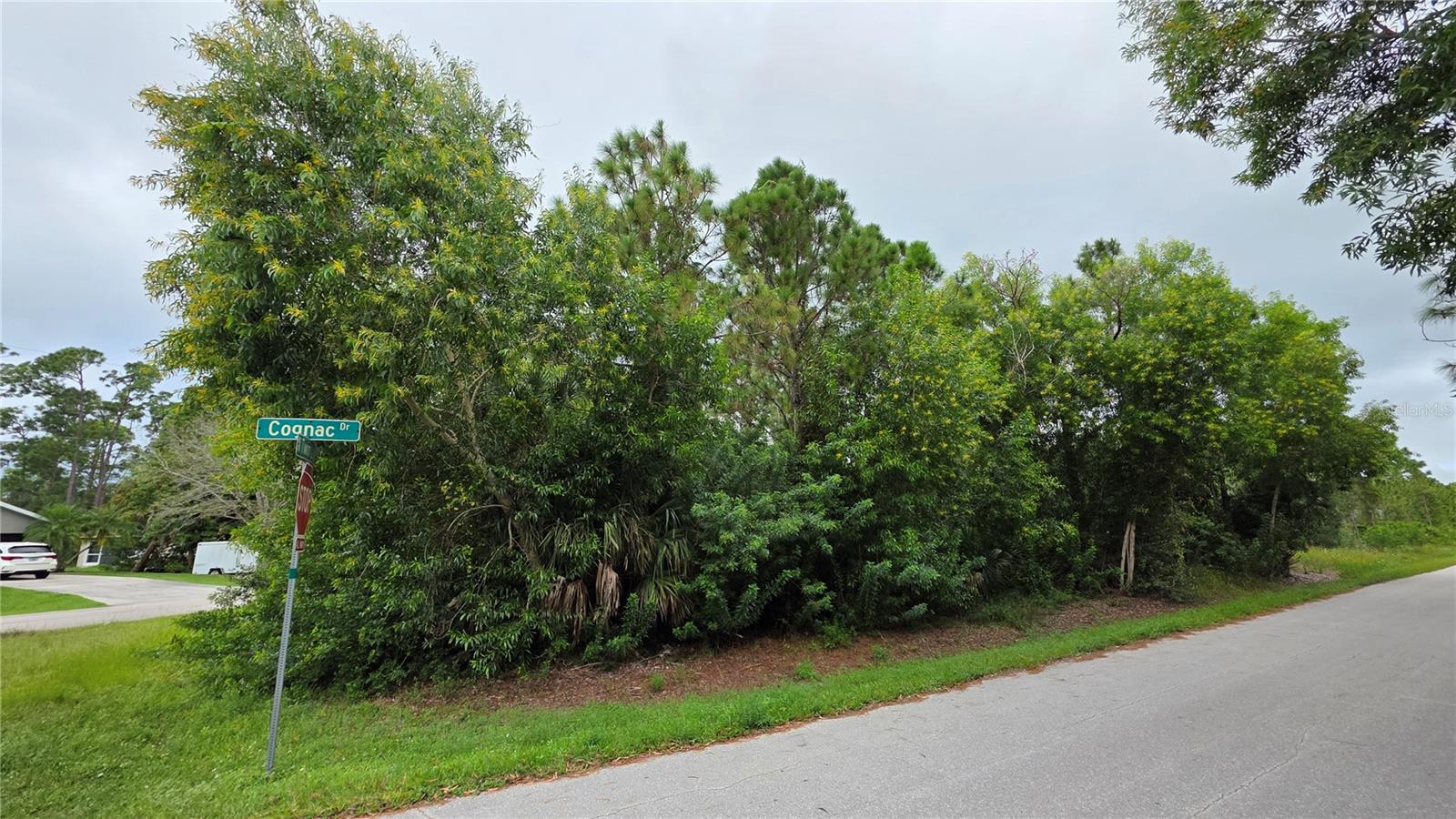 12339 COGNAC DR, PUNTA GORDA, FL