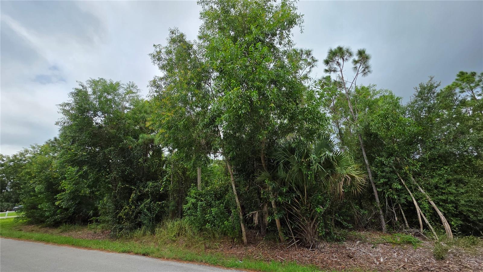 12339 COGNAC DR, PUNTA GORDA, FL — photo 3
