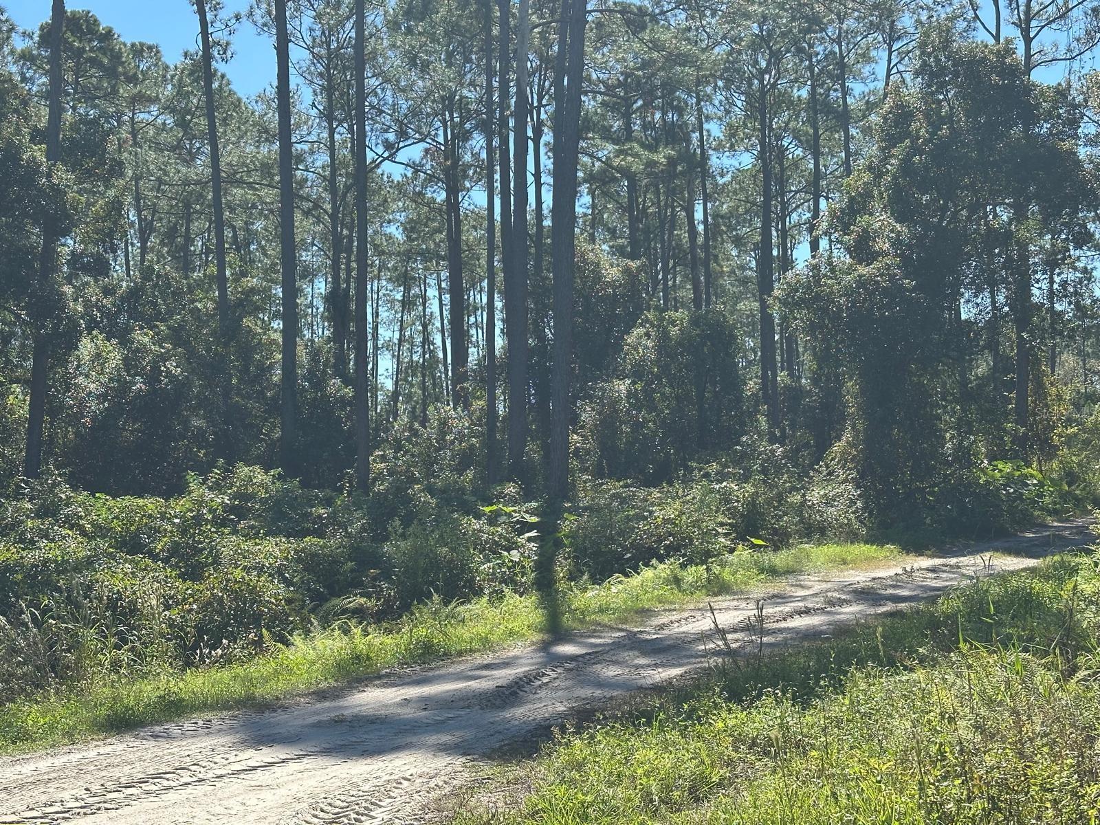 11TH AVE, DELAND, FL