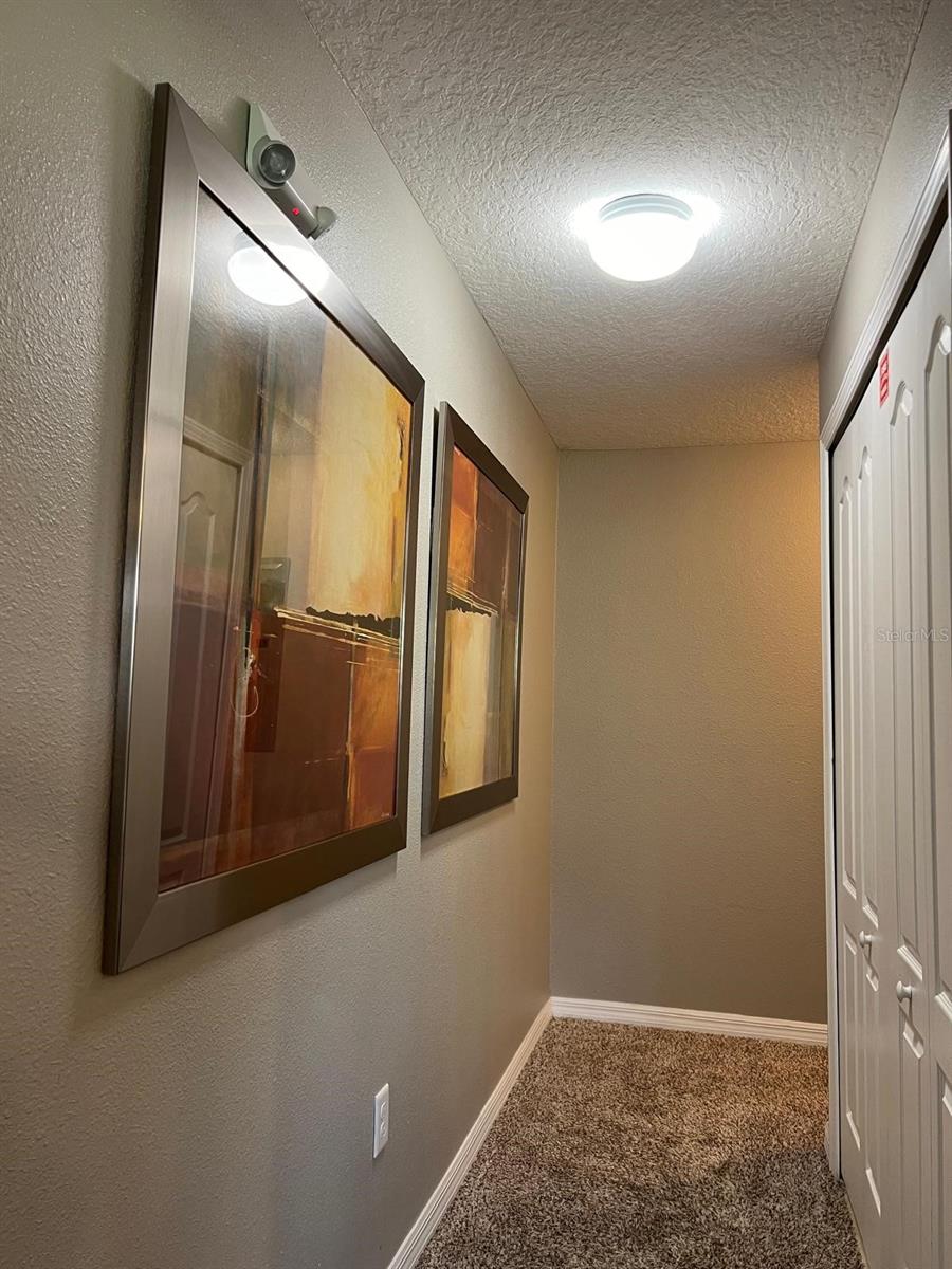 2937 BANANA PALM DR, KISSIMMEE, FL — photo 21