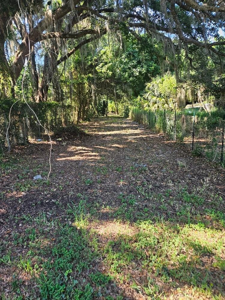 PRIVATE DR, TAVARES, FL — photo 5
