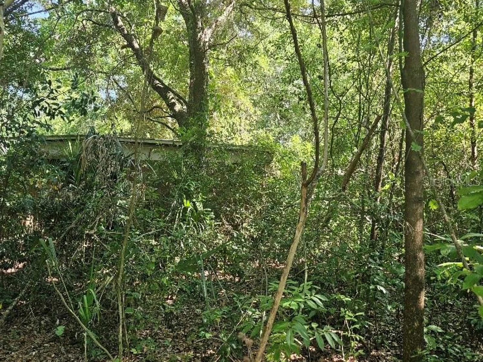 PRIVATE DR, TAVARES, FL — photo 7