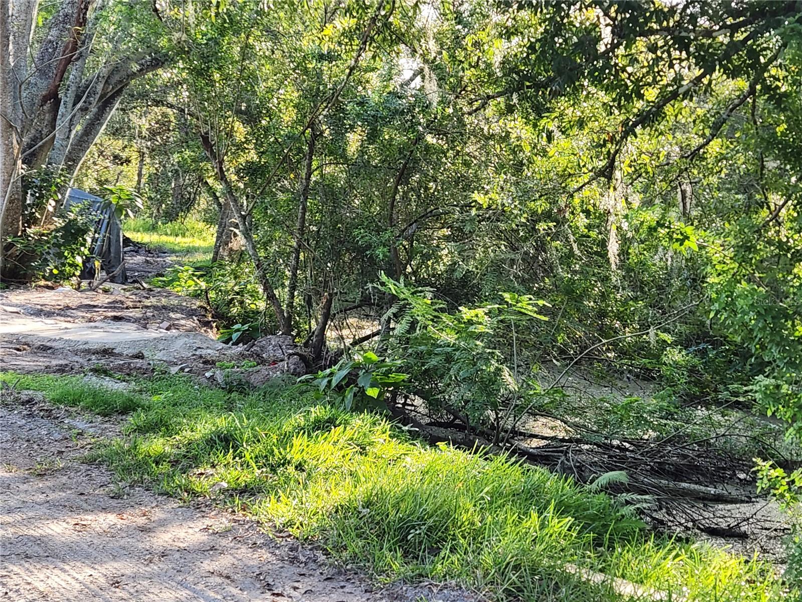 2608 20 MILE LEVEL RD, LAND O LAKES, FL — photo 5