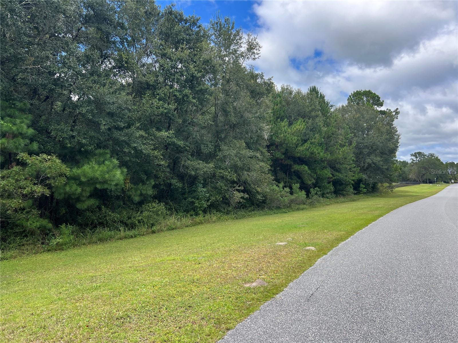 TBD NW 145TH AVE, WILLISTON, FL — photo 7