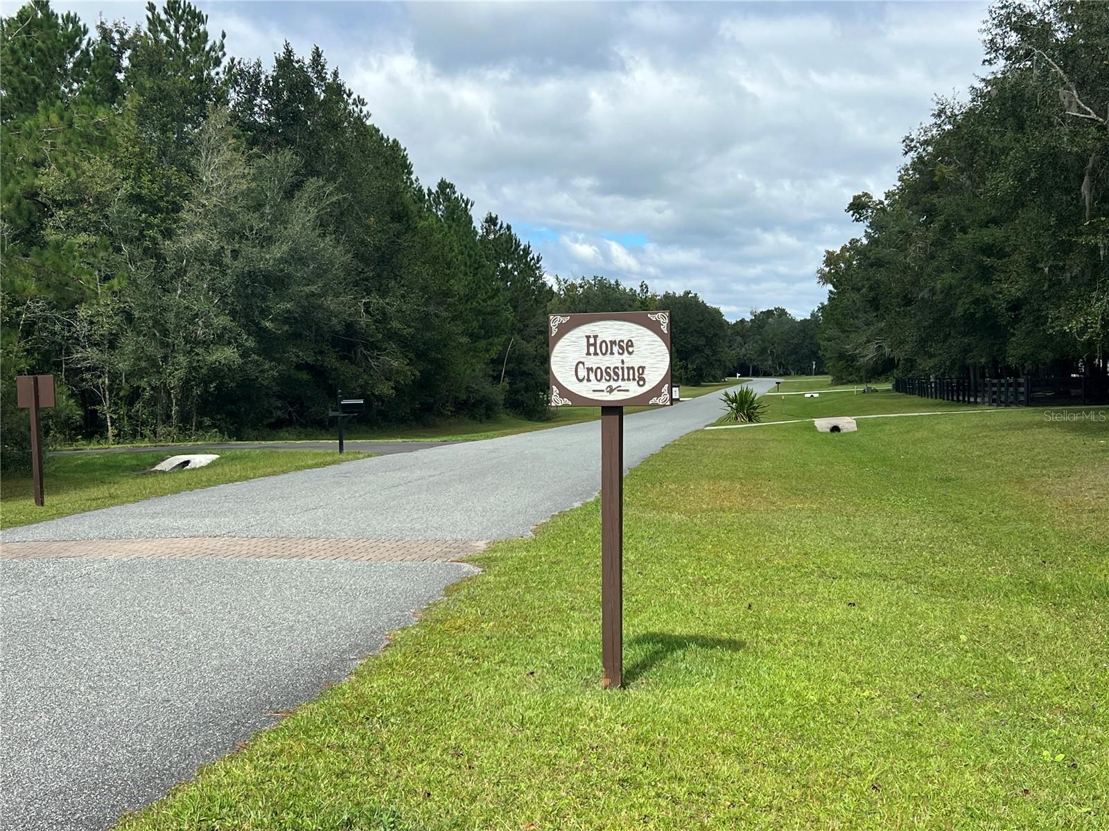 TBD NW 145TH AVE, WILLISTON, FL — photo 9