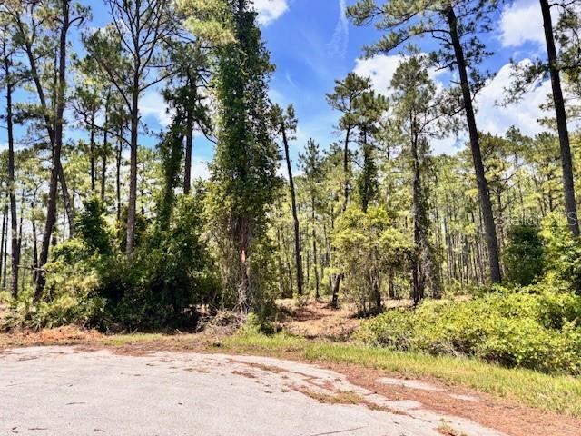 CHINABERRY WAY, EUSTIS, FL — photo 4