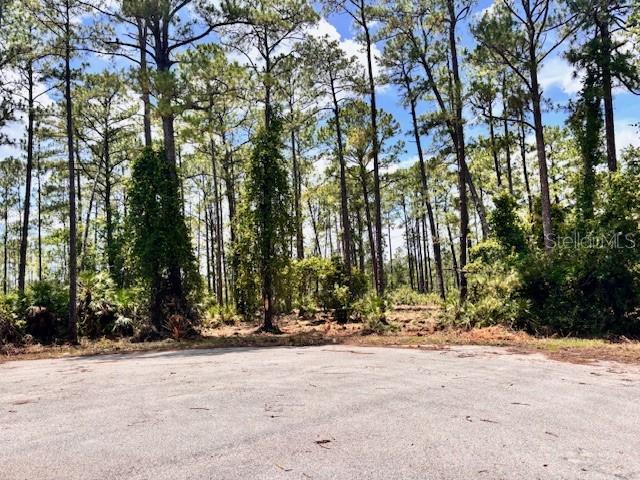 CHINABERRY WAY, EUSTIS, FL — photo 5