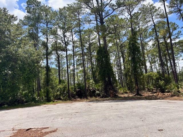 CHINABERRY WAY, EUSTIS, FL — photo 7