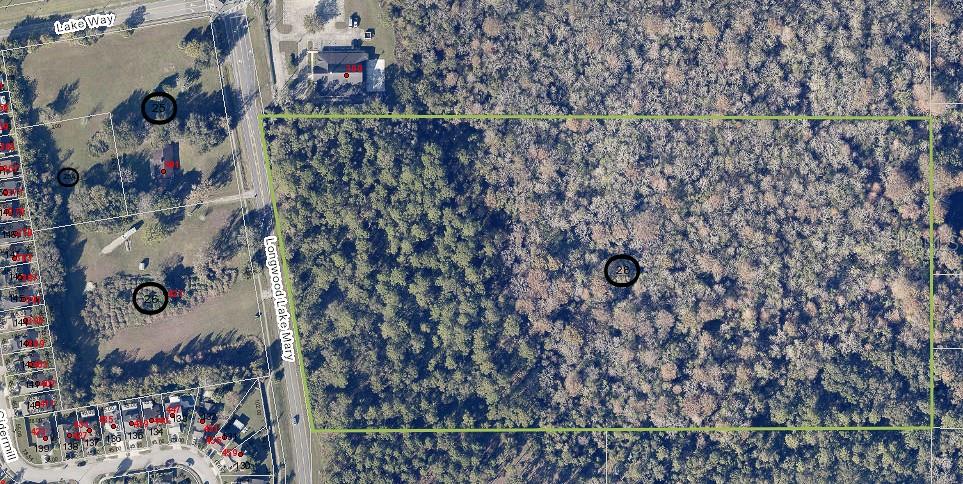 400 LONGWOOD LAKE MARY RD, LAKE MARY, FL — photo 6