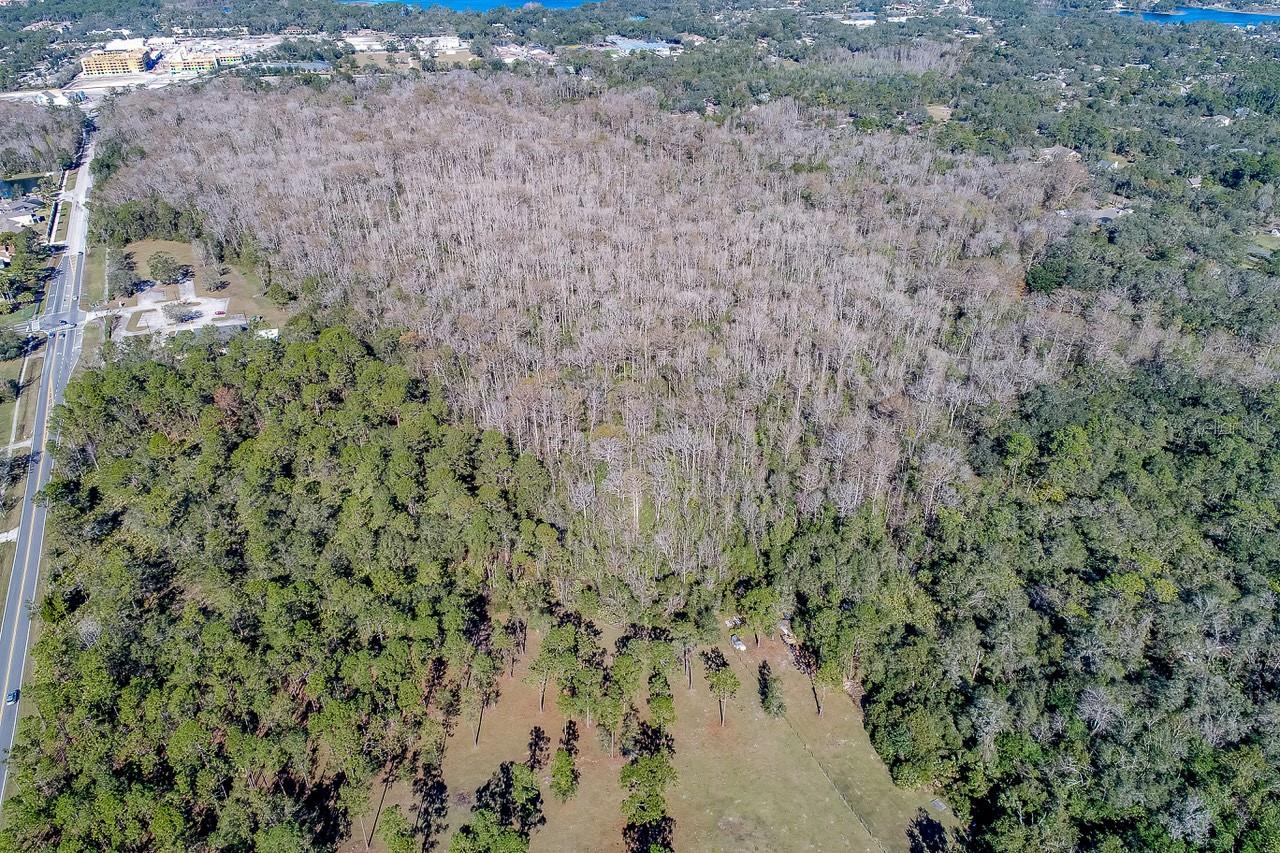 400 LONGWOOD LAKE MARY RD, LAKE MARY, FL — photo 7