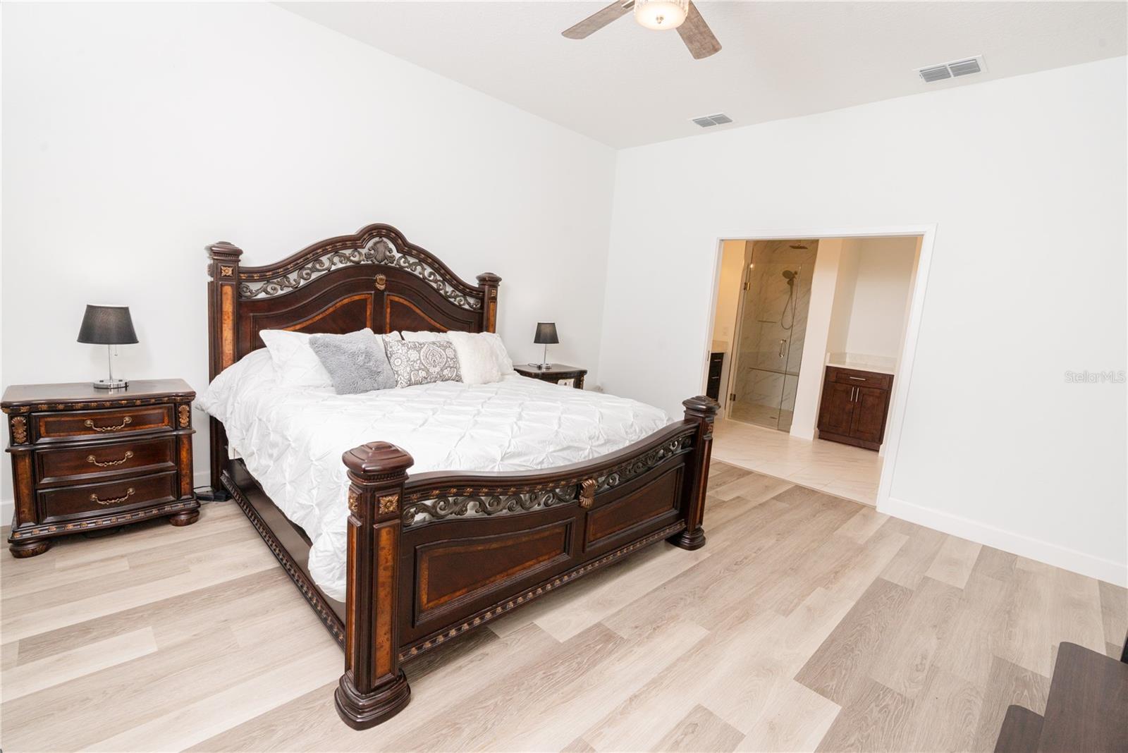 30101 BRETTON LOOP, MOUNT DORA, FL — photo 31