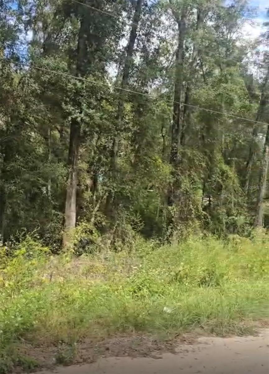 SW 137 AVE, DUNNELLON, FL