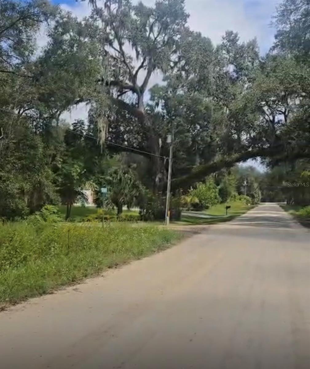 SW 137 AVE, DUNNELLON, FL — photo 2