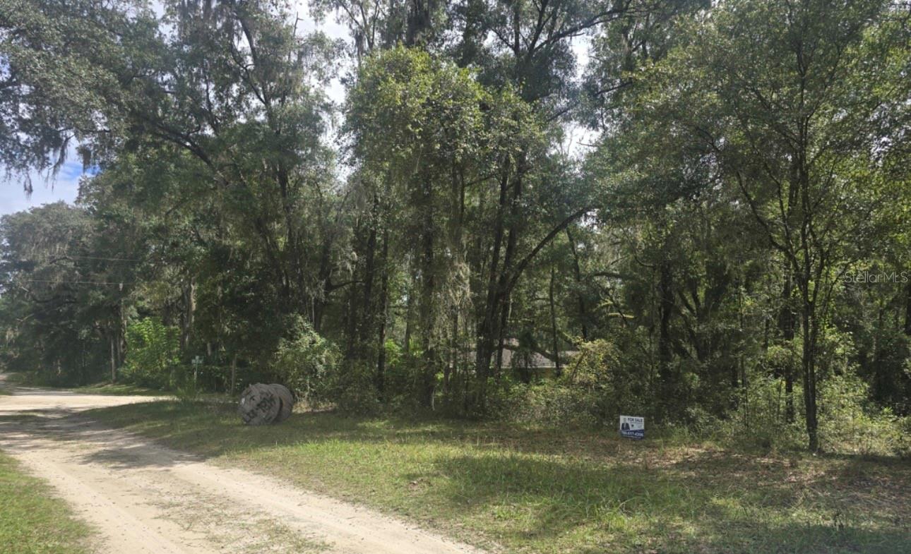 SW 137 AVE, DUNNELLON, FL — photo 3