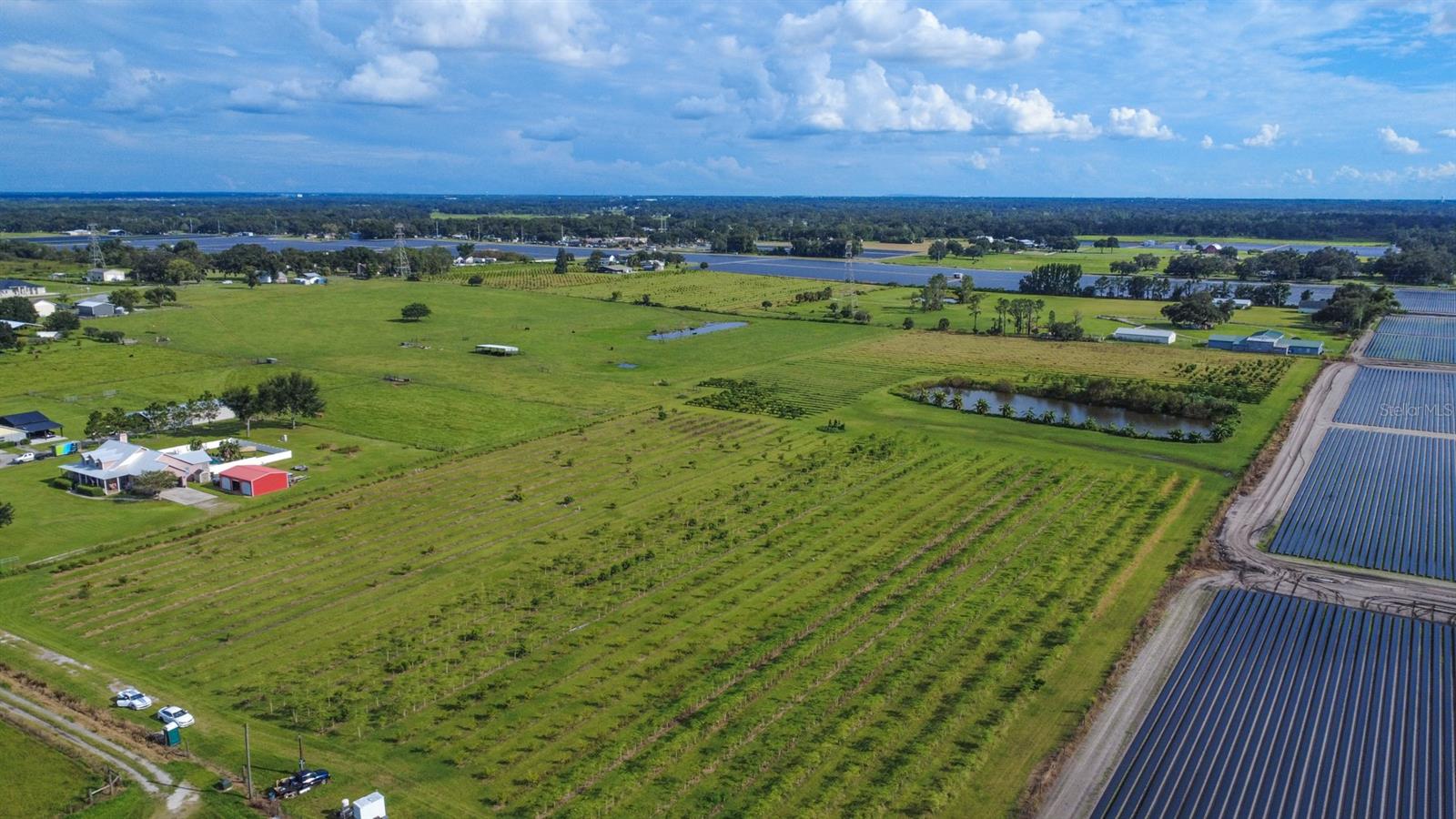 BLANTON ACRES RD, PLANT CITY, FL — photo 3