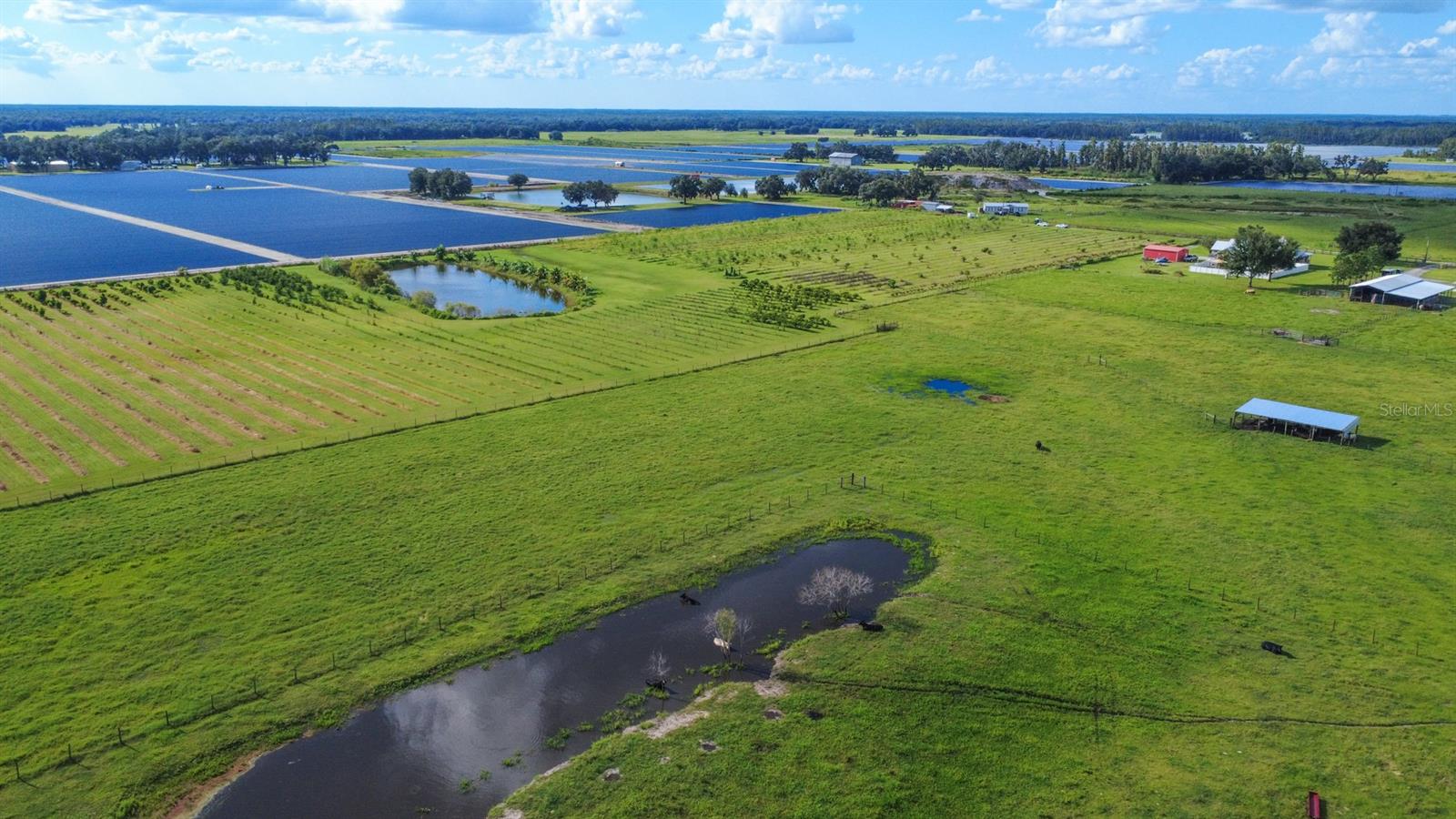 BLANTON ACRES RD, PLANT CITY, FL — photo 4