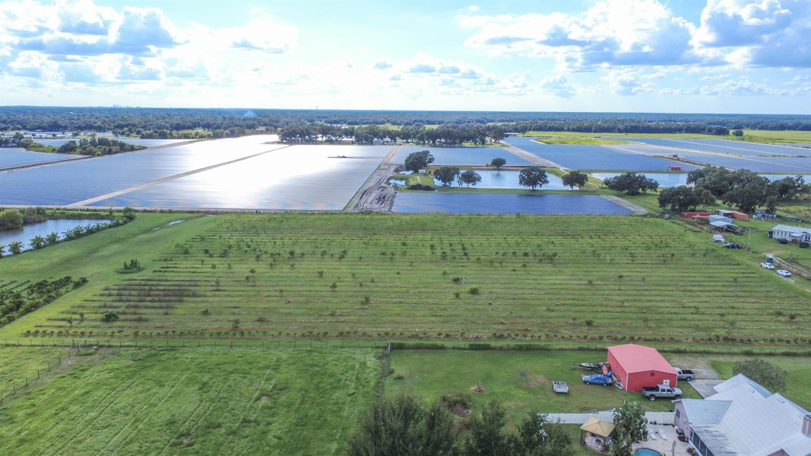 BLANTON ACRES RD, PLANT CITY, FL — photo 5