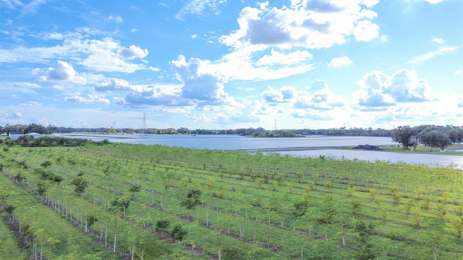 BLANTON ACRES RD, PLANT CITY, FL — photo 7