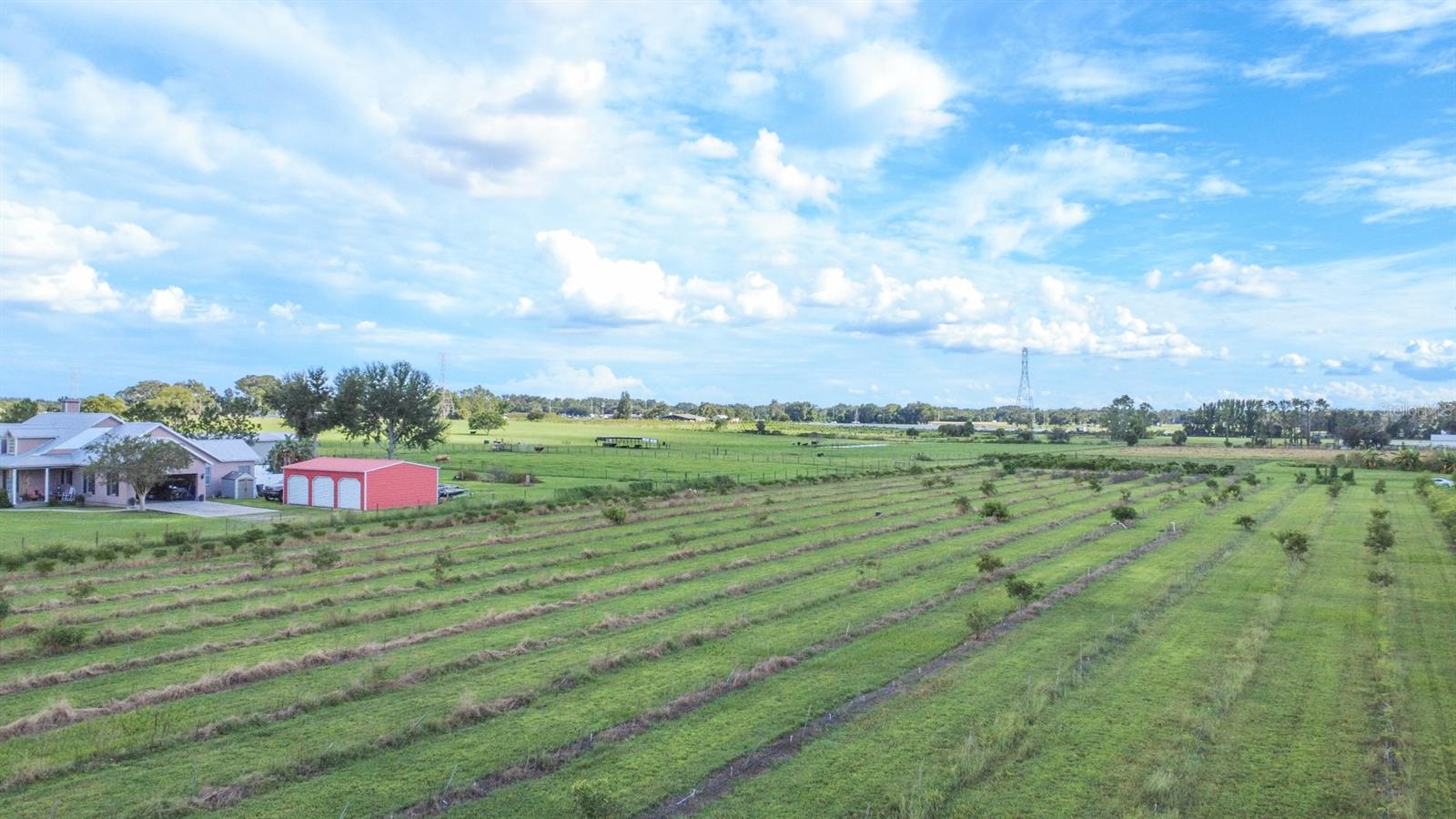 BLANTON ACRES RD, PLANT CITY, FL — photo 11