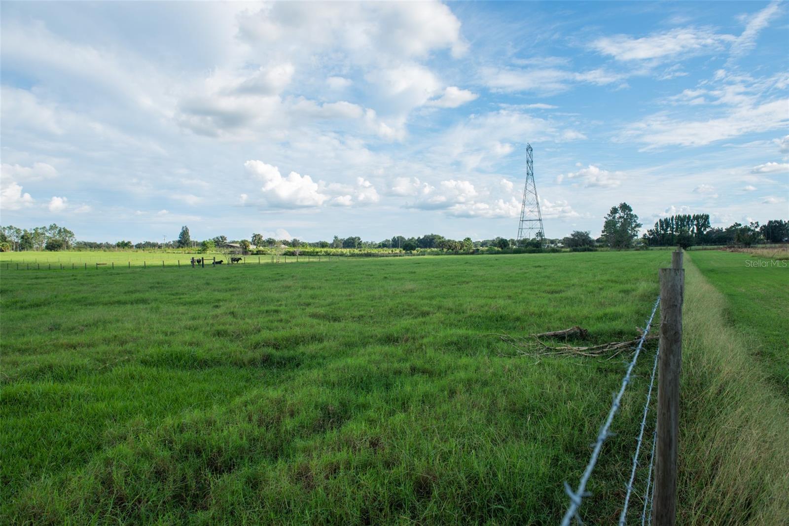 BLANTON ACRES RD, PLANT CITY, FL — photo 16