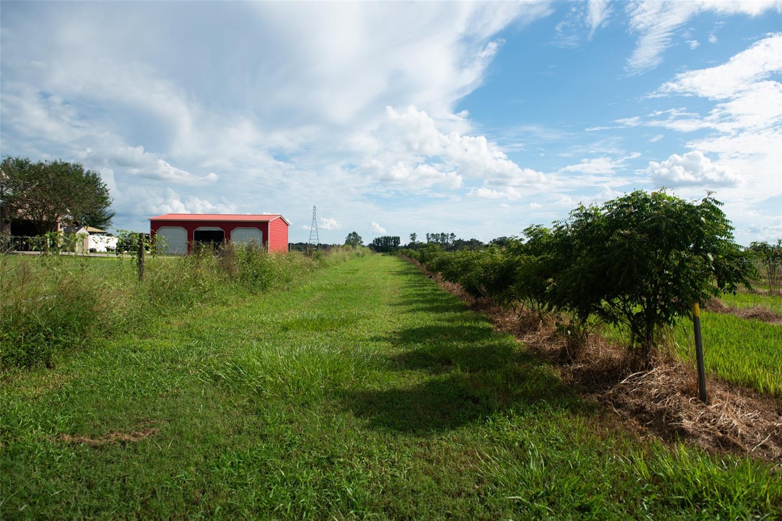 BLANTON ACRES RD, PLANT CITY, FL — photo 22