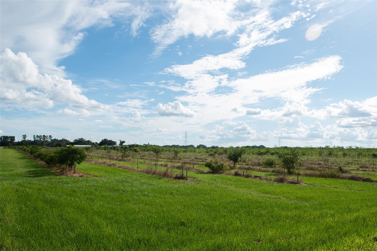 BLANTON ACRES RD, PLANT CITY, FL — photo 23