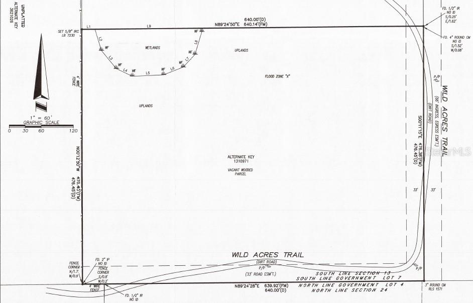 45070 WILD ACRES TRL, PAISLEY, FL — photo 4