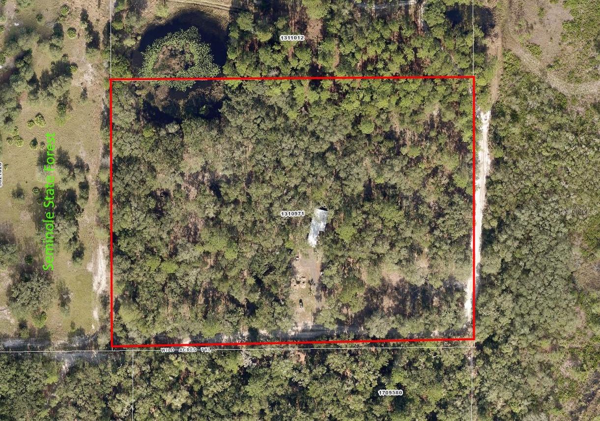 45070 WILD ACRES TRL, PAISLEY, FL — photo 5