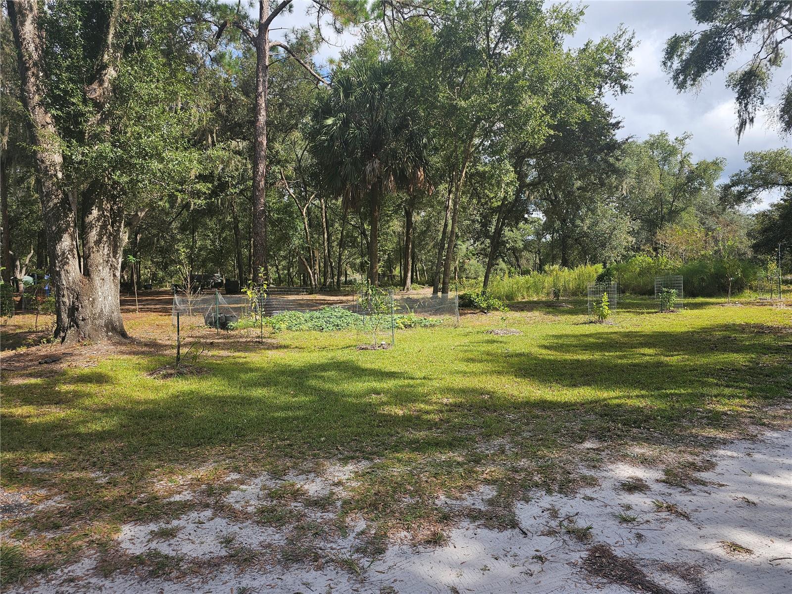 45070 WILD ACRES TRL, PAISLEY, FL — photo 13