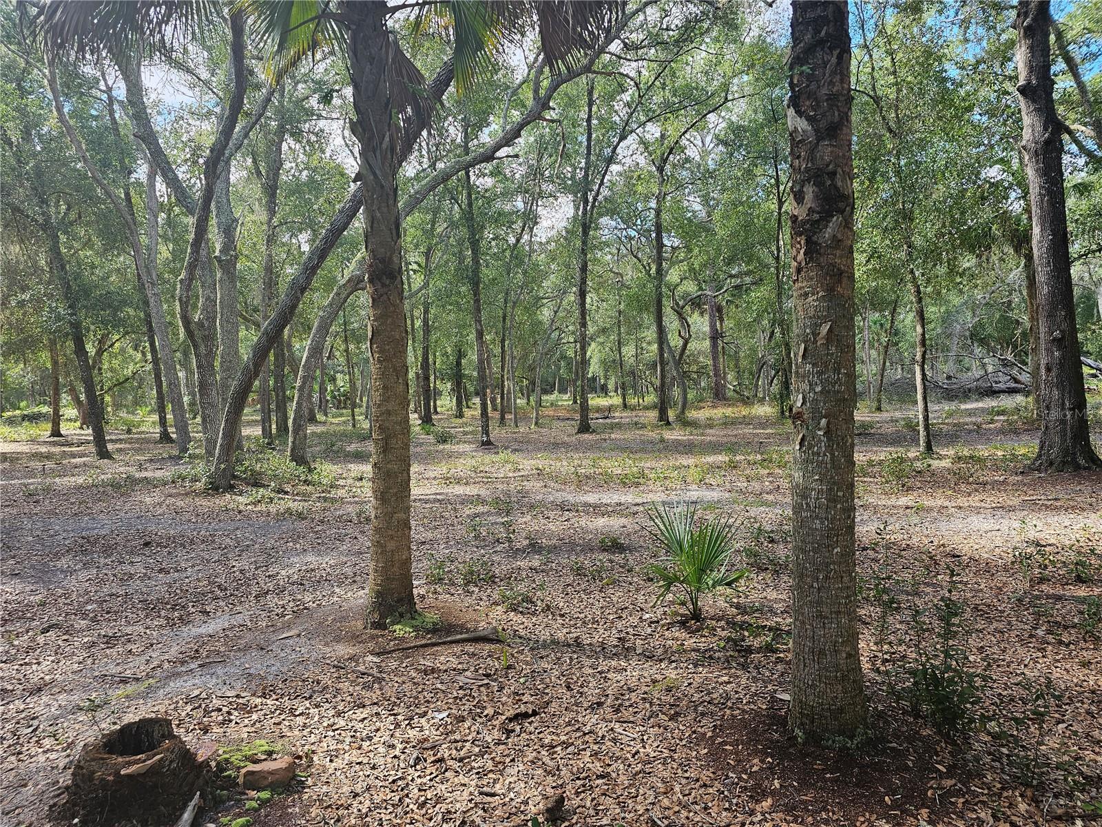 45070 WILD ACRES TRL, PAISLEY, FL — photo 16