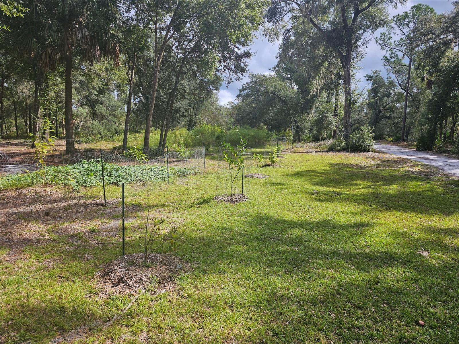 45070 WILD ACRES TRL, PAISLEY, FL — photo 17