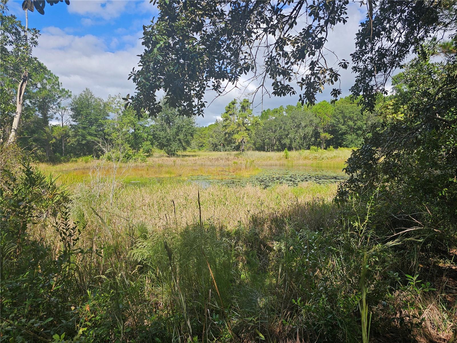 45070 WILD ACRES TRL, PAISLEY, FL — photo 20
