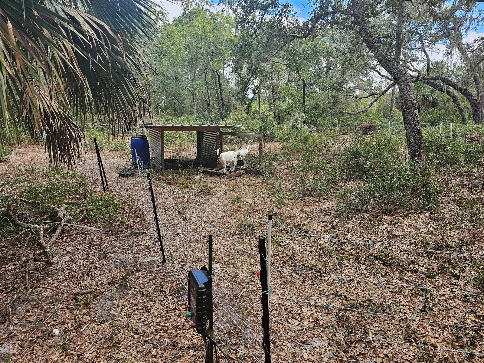 45070 WILD ACRES TRL, PAISLEY, FL — photo 21
