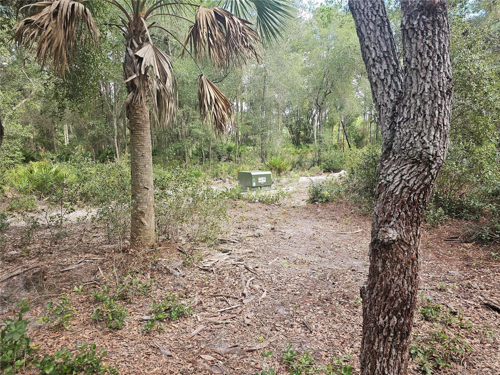 45070 WILD ACRES TRL, PAISLEY, FL — photo 27