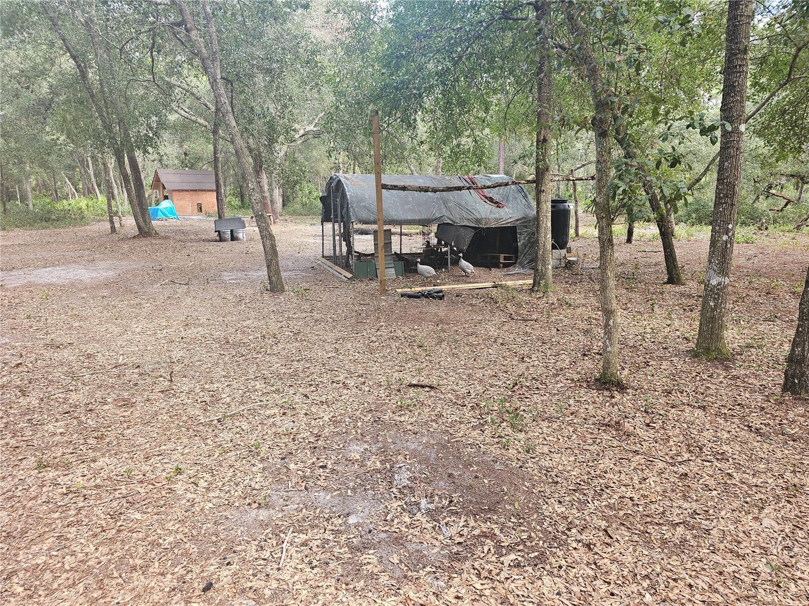45070 WILD ACRES TRL, PAISLEY, FL — photo 39