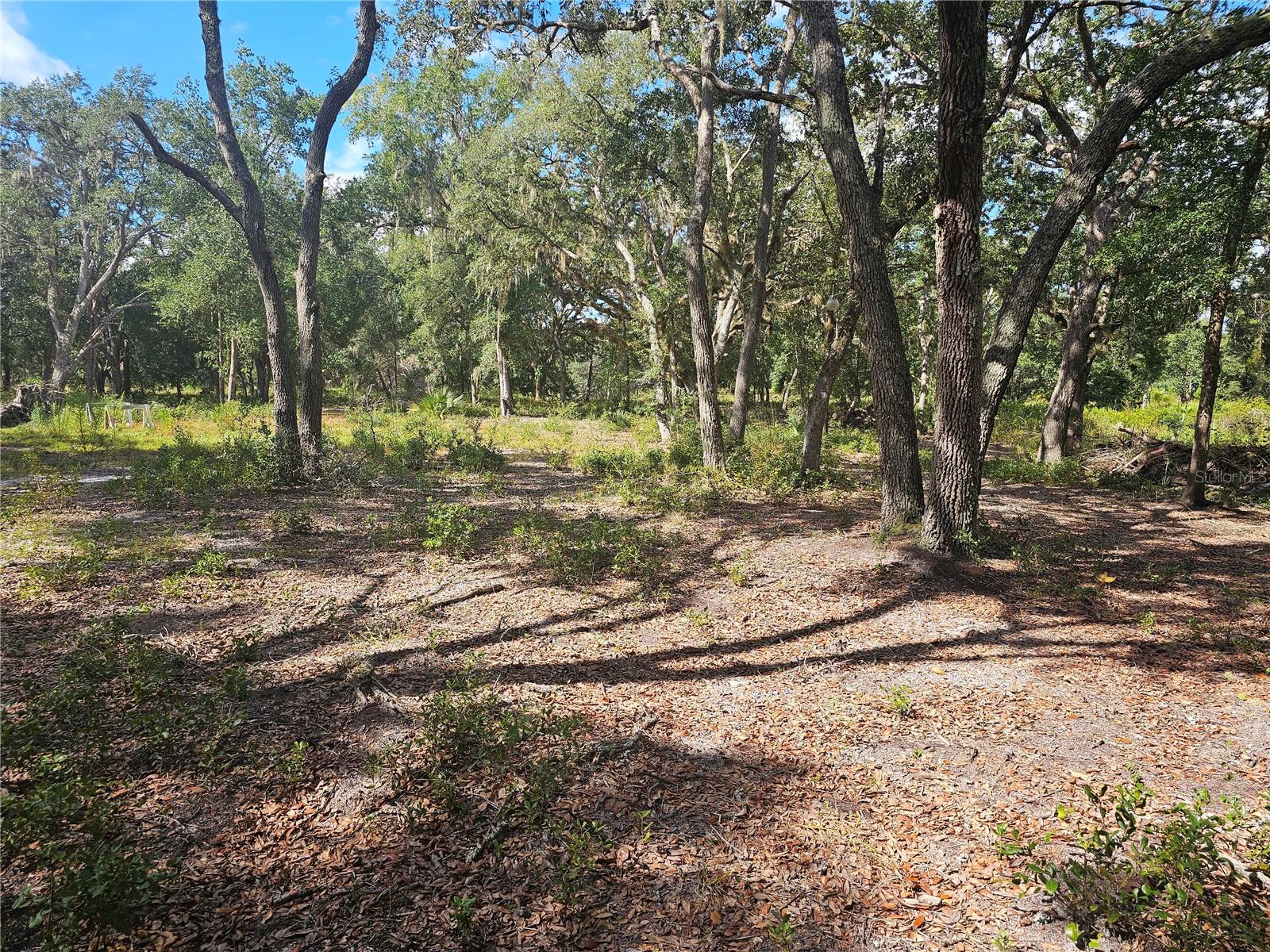 45070 WILD ACRES TRL, PAISLEY, FL — photo 41