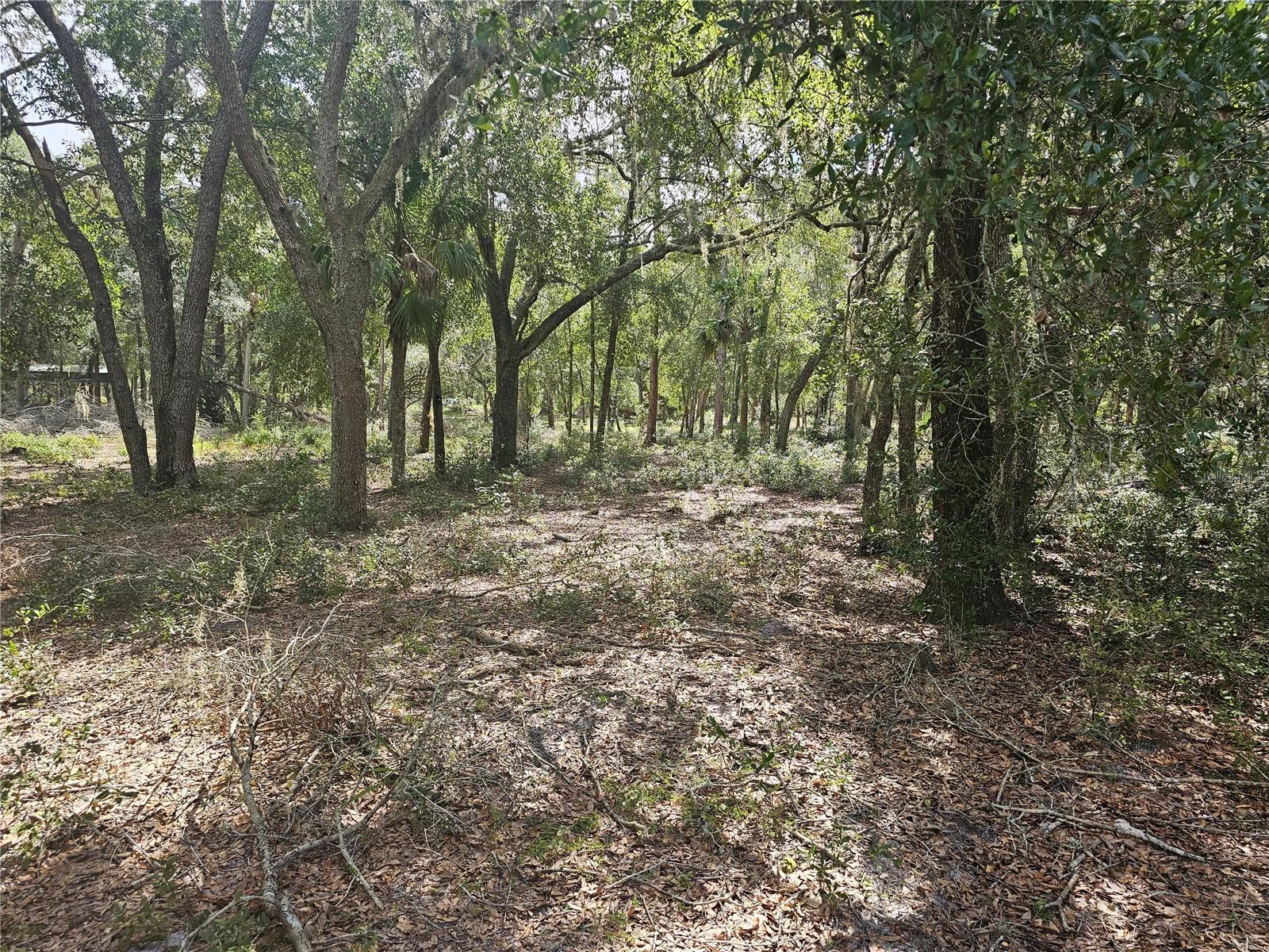 45070 WILD ACRES TRL, PAISLEY, FL — photo 44