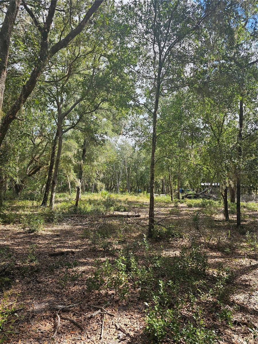 45070 WILD ACRES TRL, PAISLEY, FL — photo 45