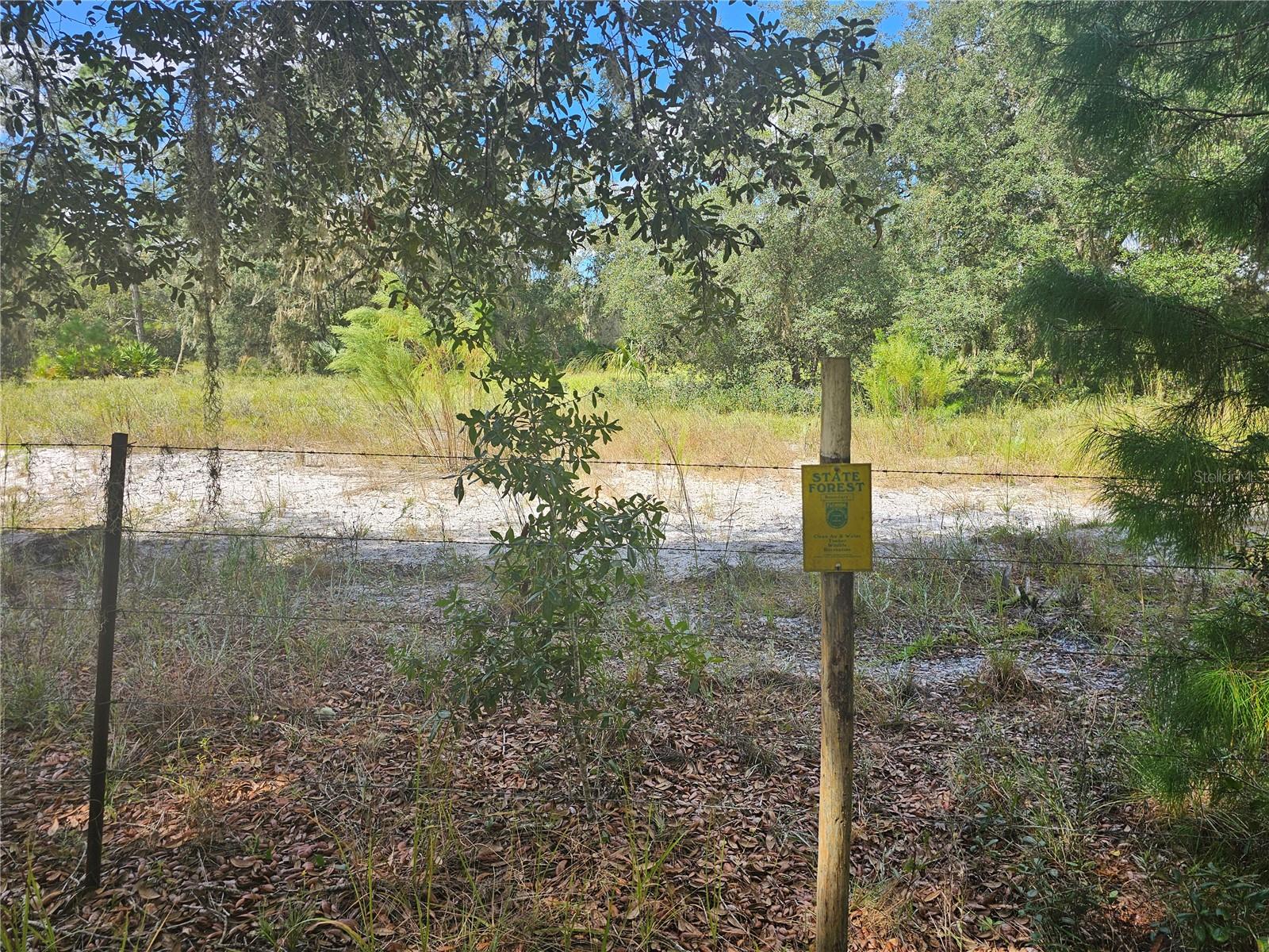 45070 WILD ACRES TRL, PAISLEY, FL — photo 48